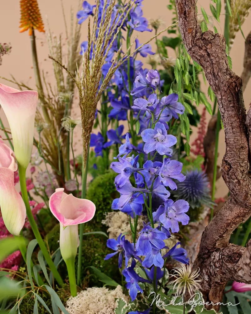 Mike Boerma - Dutch Garden design