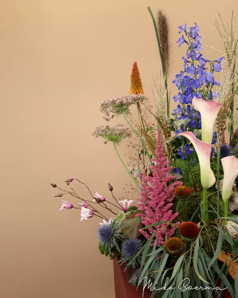 Mike Boerma - Dutch Garden design