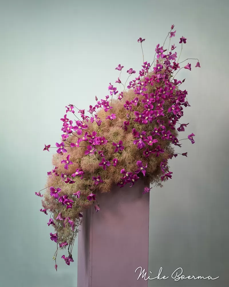 Mike Boerma - Smokey bush design