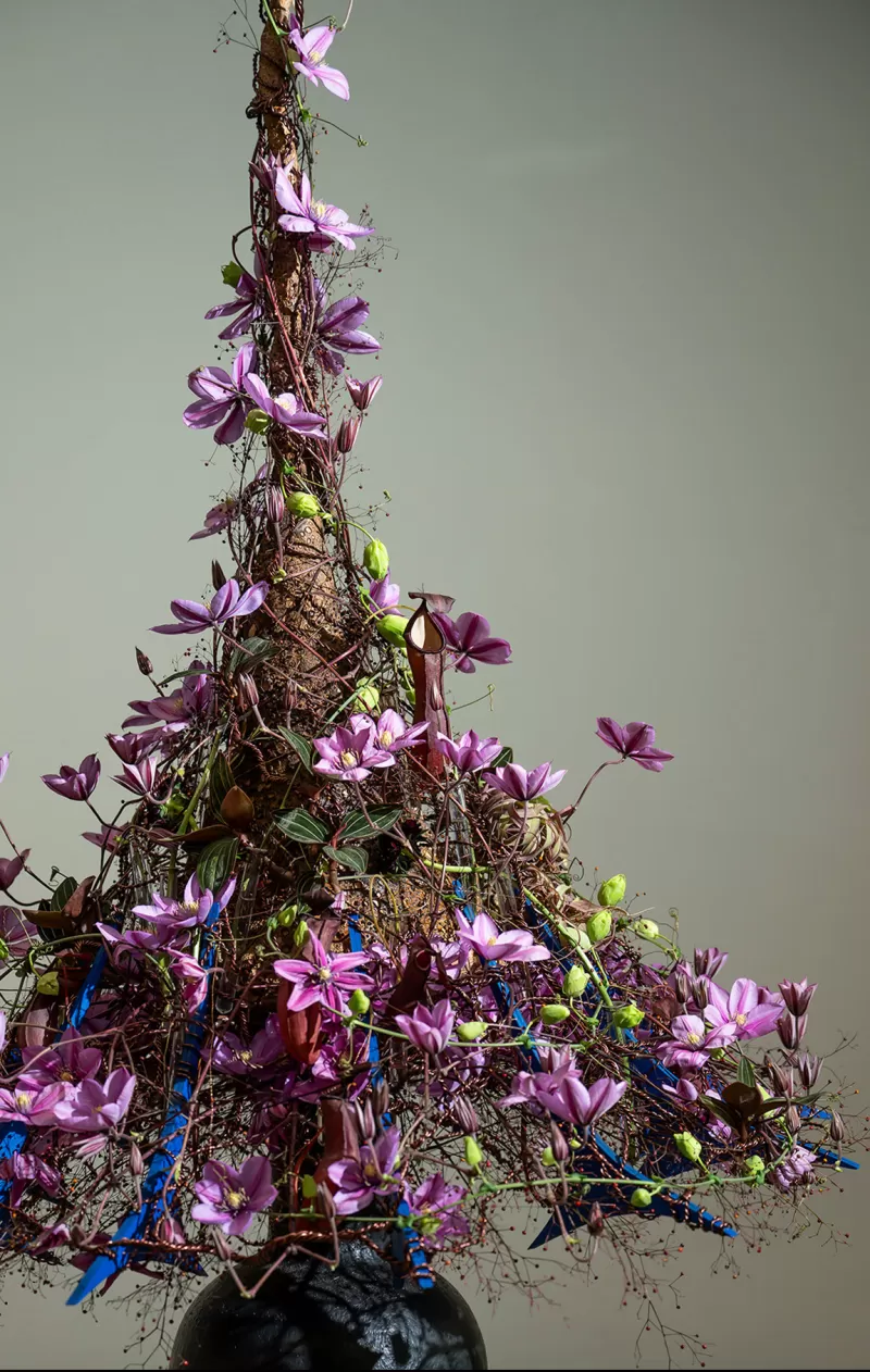 Gerrit van Aalst - Clematis Amazing Tokyo design