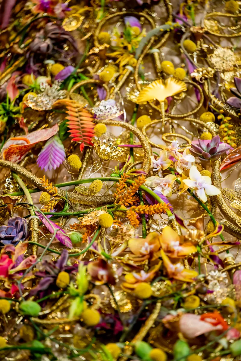 Hanneke Frankema - Botaniczna suknia