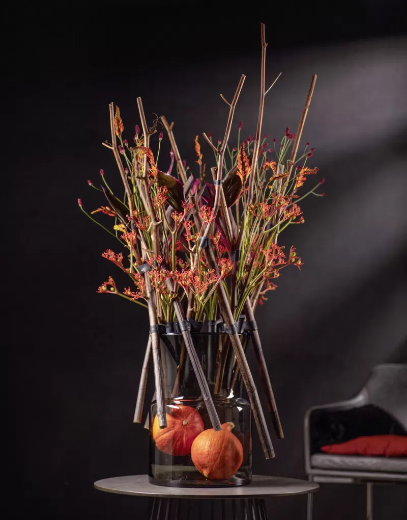 Jatropha Firecracker, Crocosmia Prince of Orange, Sanguisorba Red Dream®