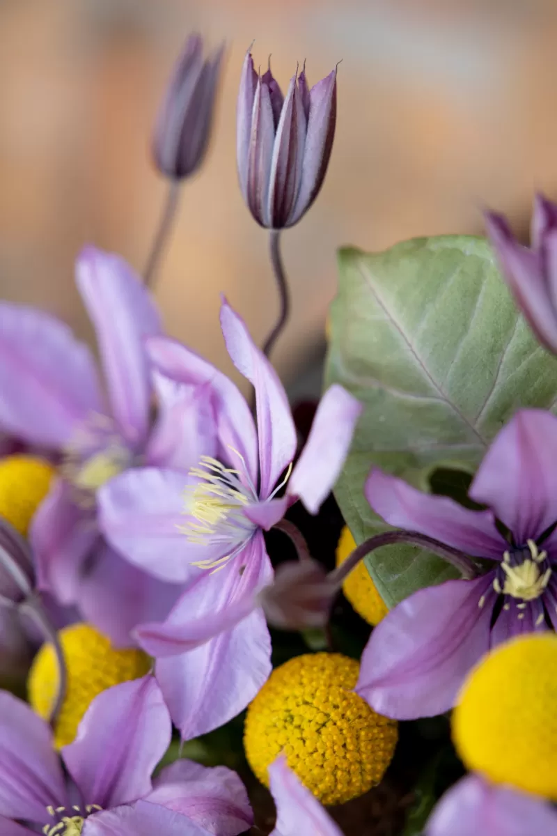 Krisztián Kövér - Floral Arrangement