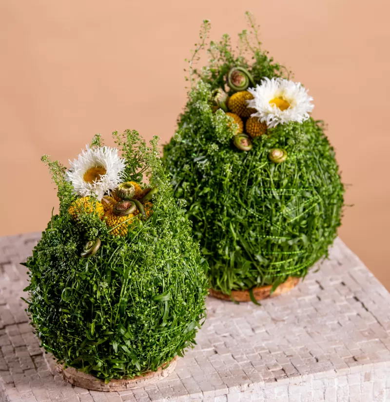Floral Easter Eggs - Leucanthemum Omelette, Craspedia Paintall™ Pop