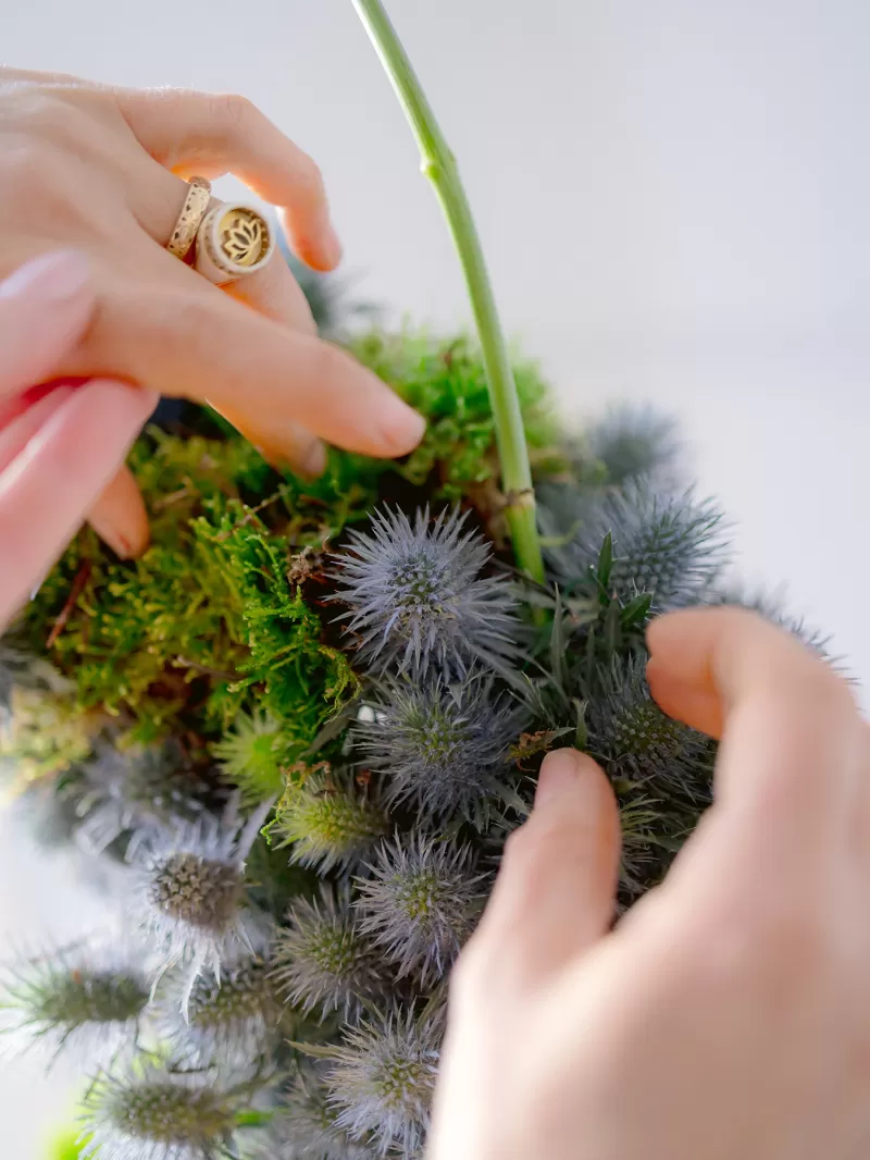 Madrid Blooms - Escultura floral