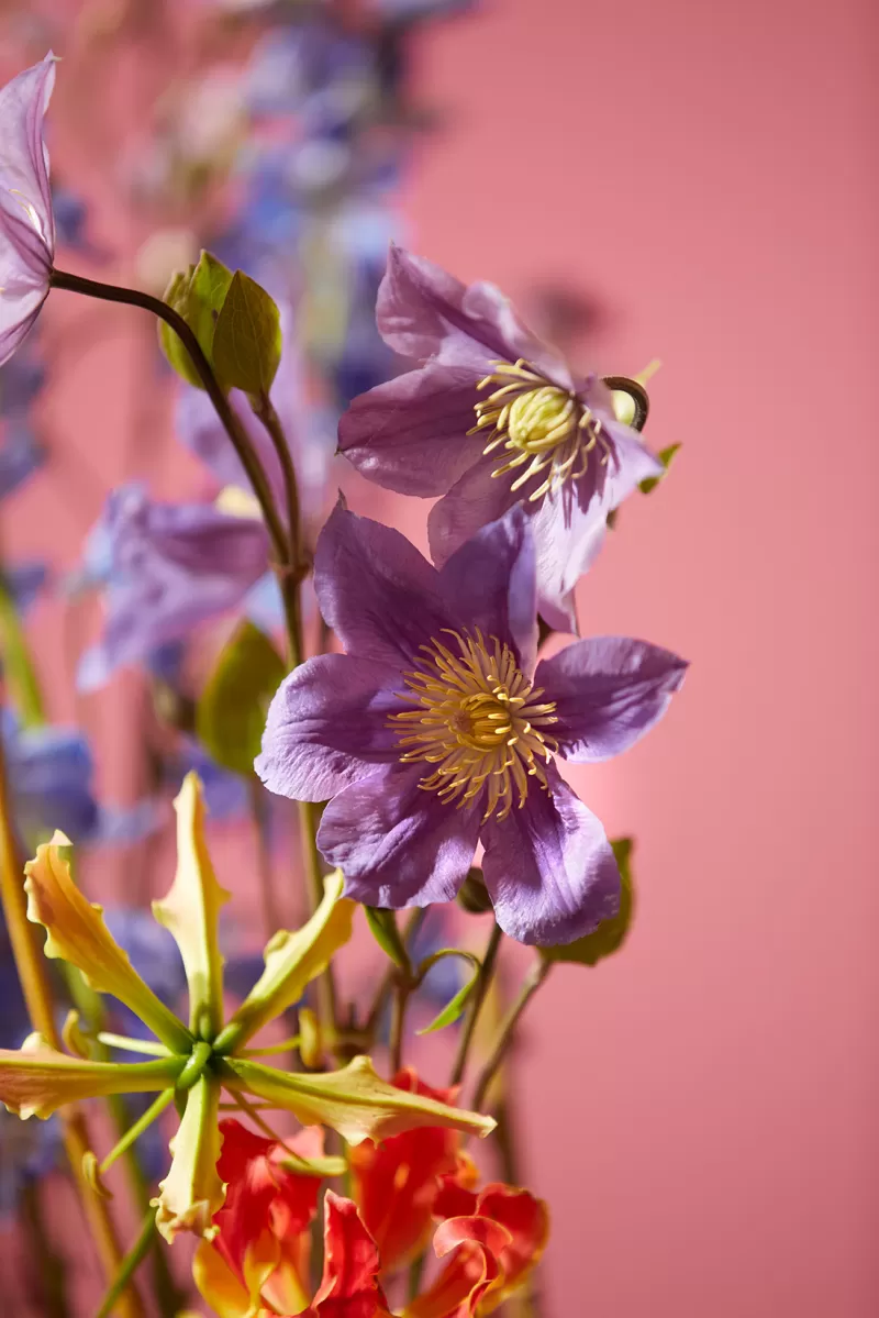 BLOOM 的媒体——缤纷二重奏