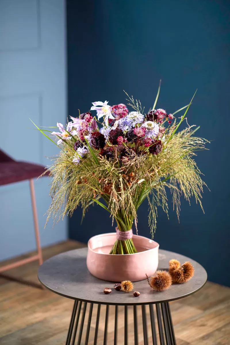 Scabiosa design