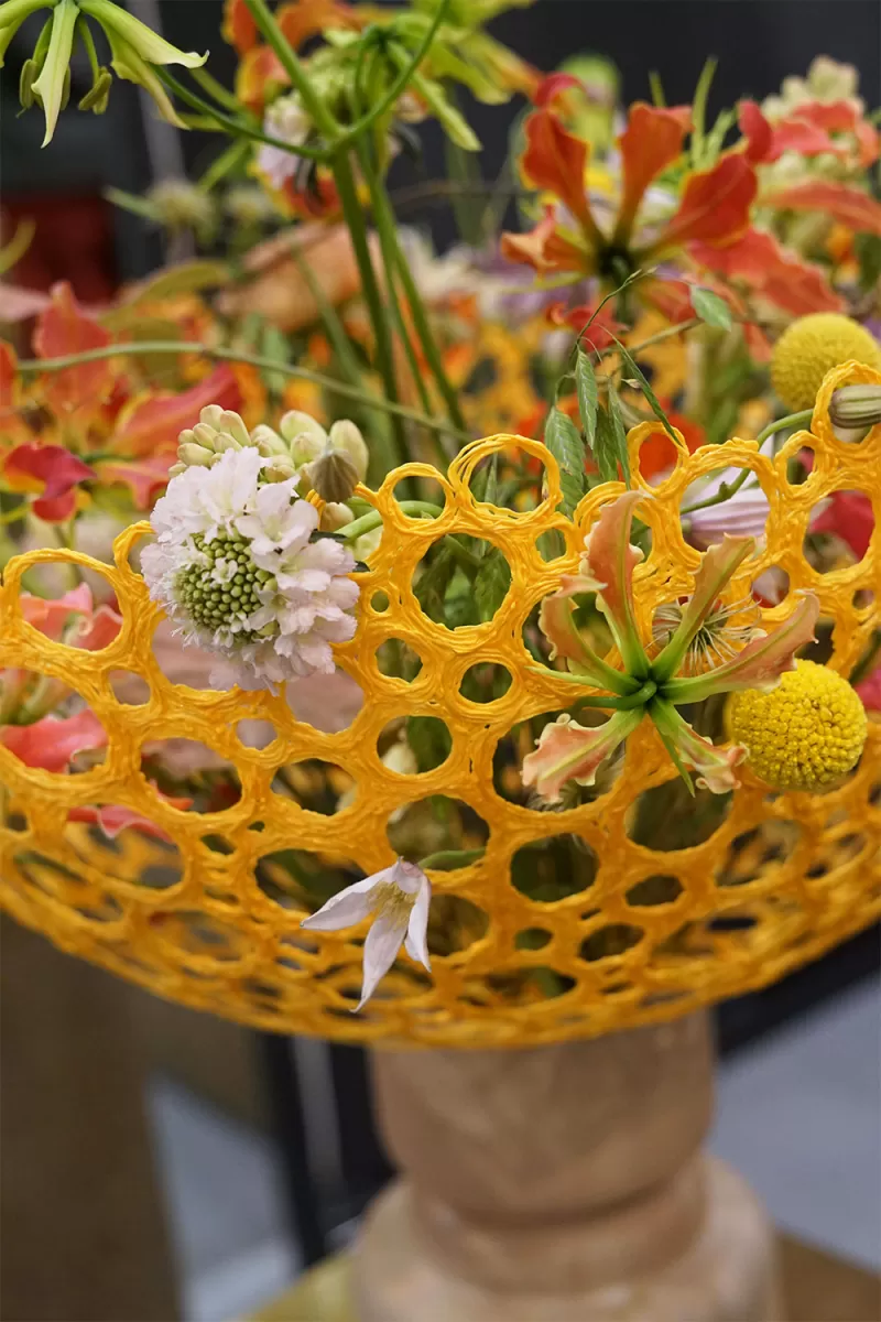 Hanneke Frankema - Técnicas 3D