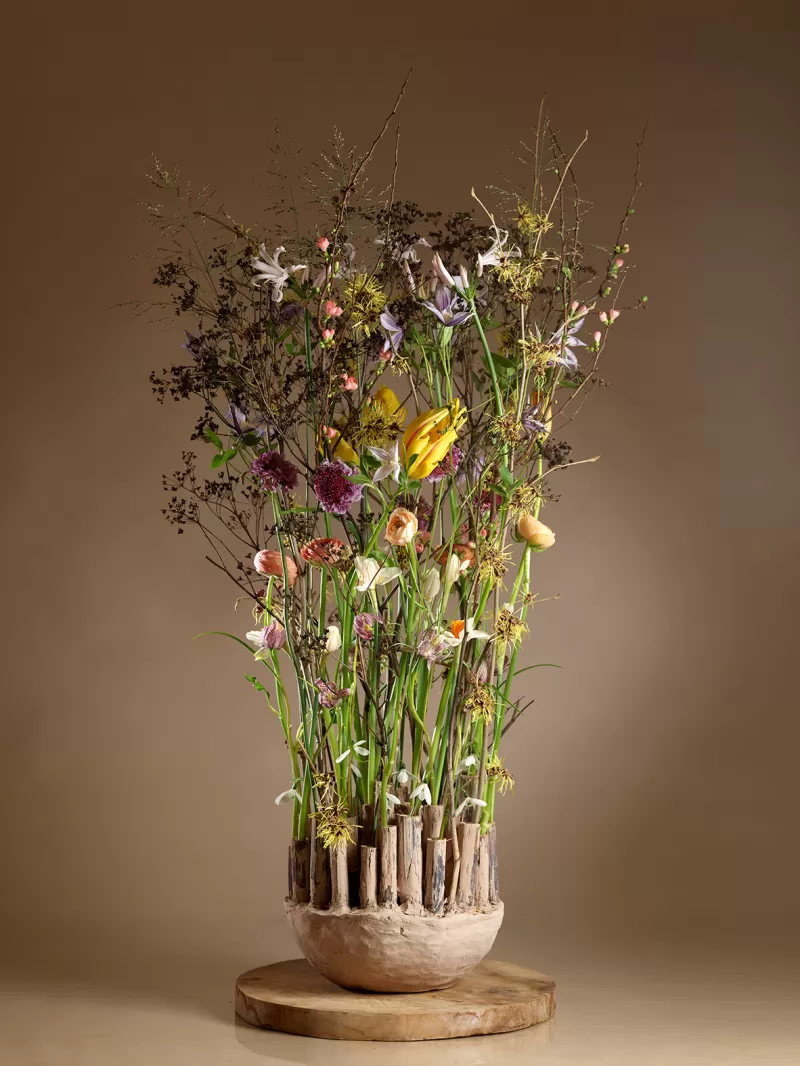 Max van de Sluis - Bamboo base