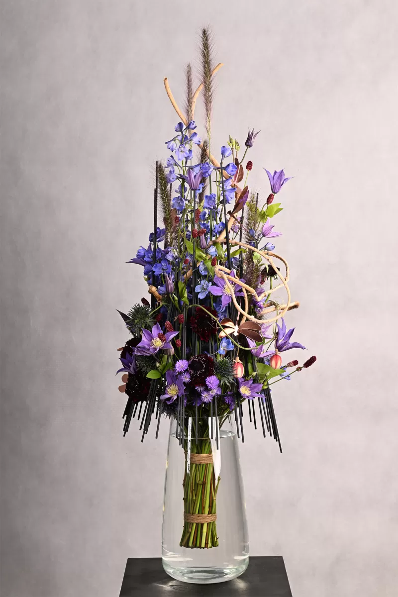 Gábor Nagy - Die Libelle