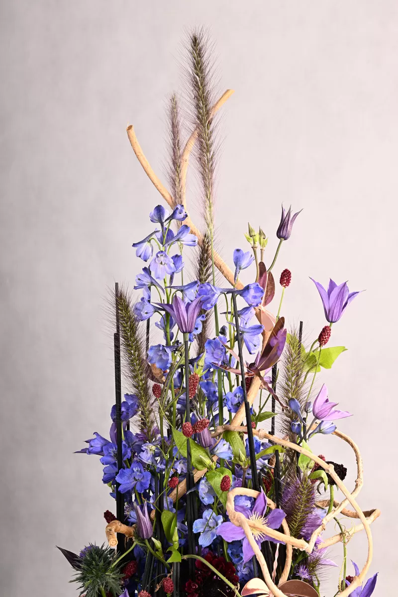 Gábor Nagy - Die Libelle