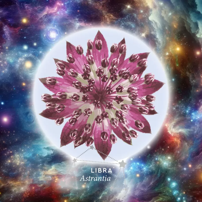 Floroscope 2024 - Libra Astrantia