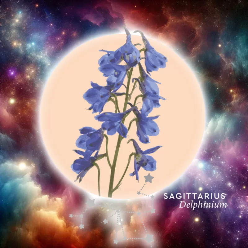 Floroscope 2024 - Sagittarius Delphinium