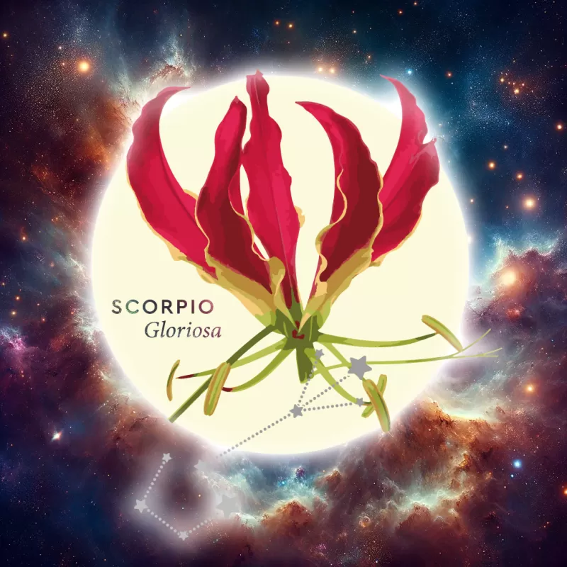 Floroscope - Scorpio Gloriosa