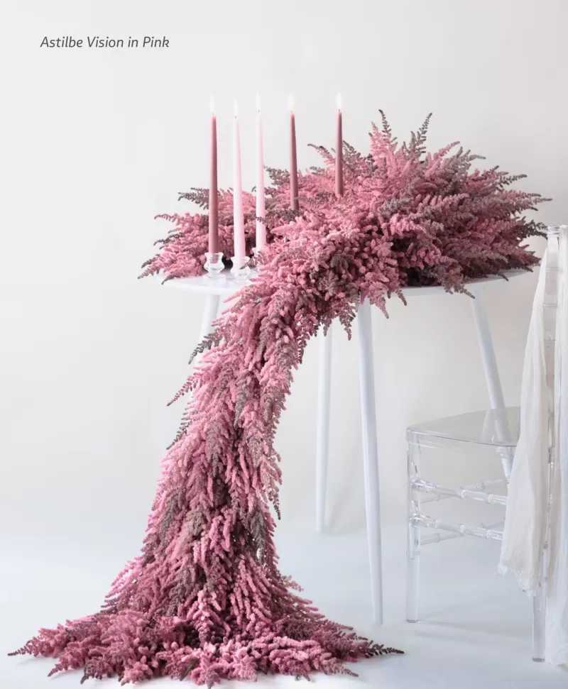 Joseph Massie astilbe waterfall