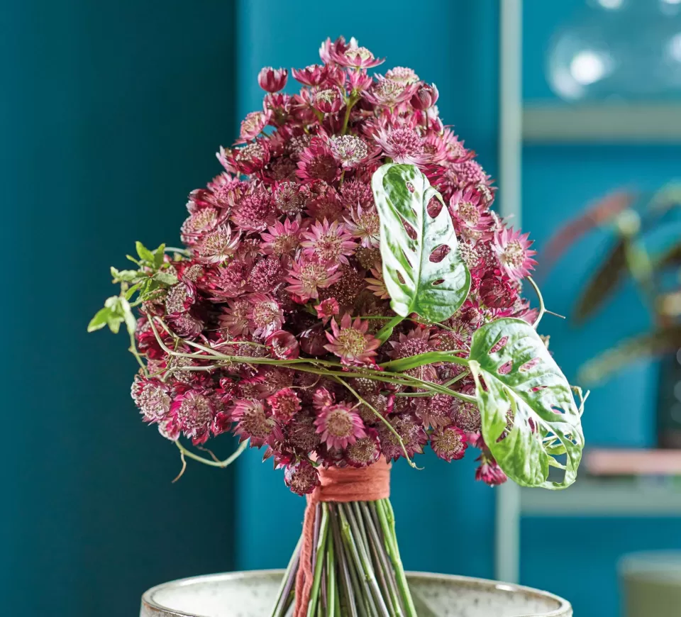 Astrantia bouquet 