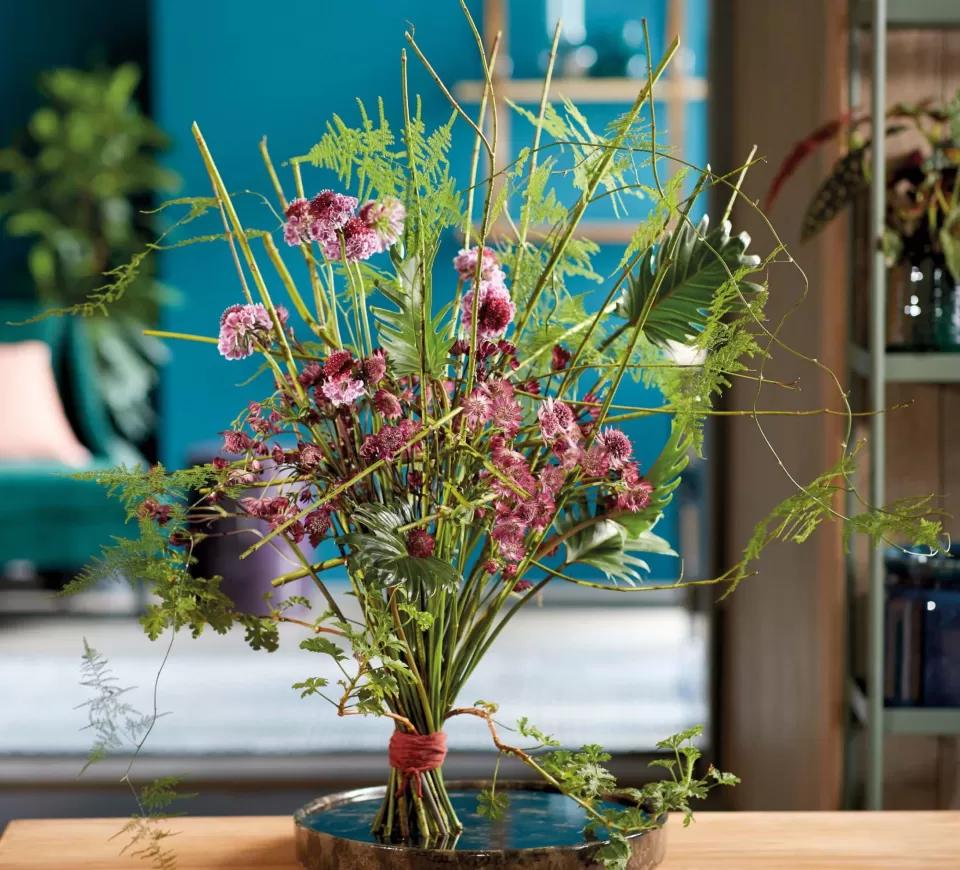 Astrantia Ikebana