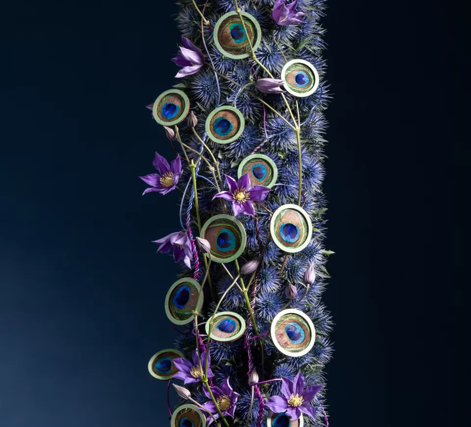 Eryngium Questar® design