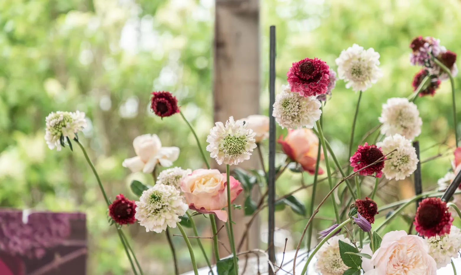 Scabiosa-Hochzeitsblumenarrangements