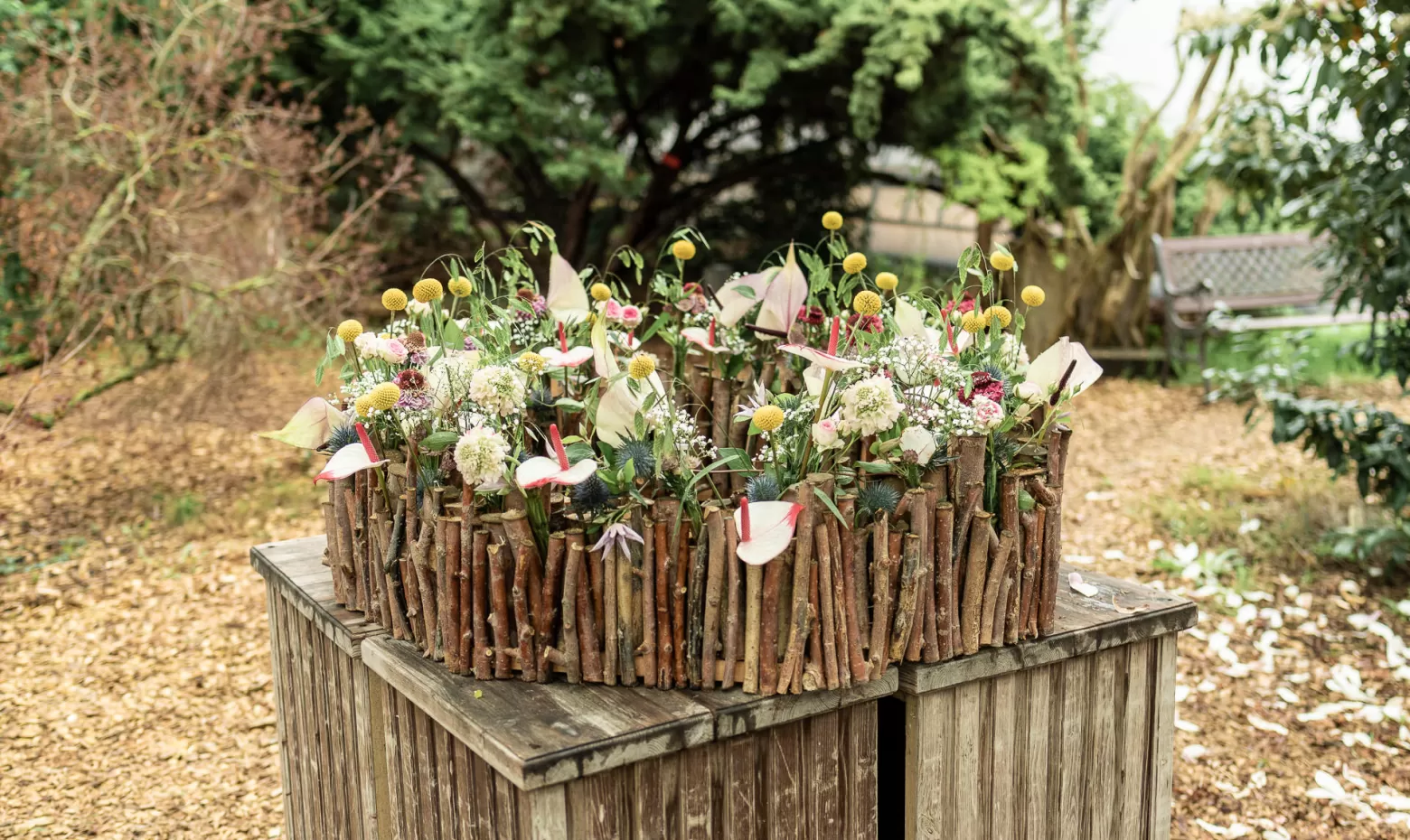 Wedding flower arrangements Scabiosa, Clematis, Craspedia, Chasmanthium, Gypsophila