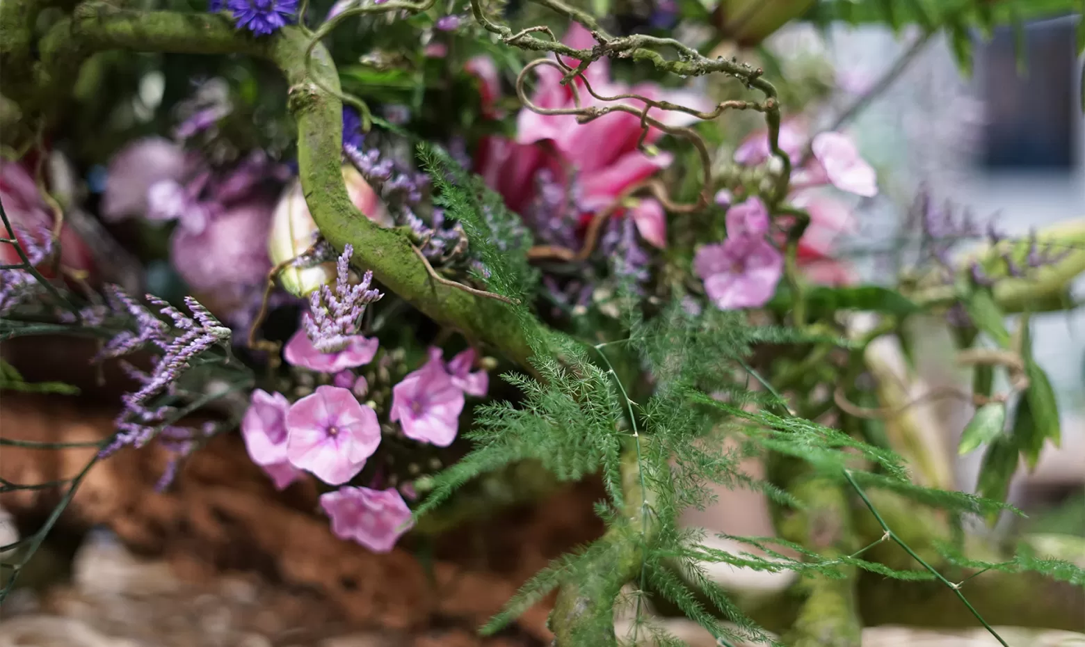 Funeral arrangement - Phlox