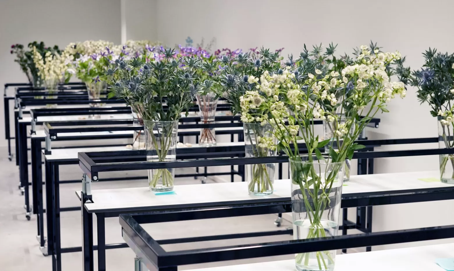 flower lab Marginpar - Quality Management & Product Development