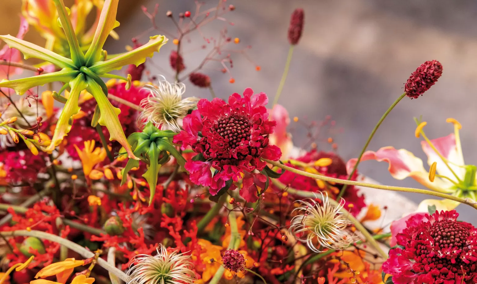 Miranda ter Voorde - Floral Arrangement