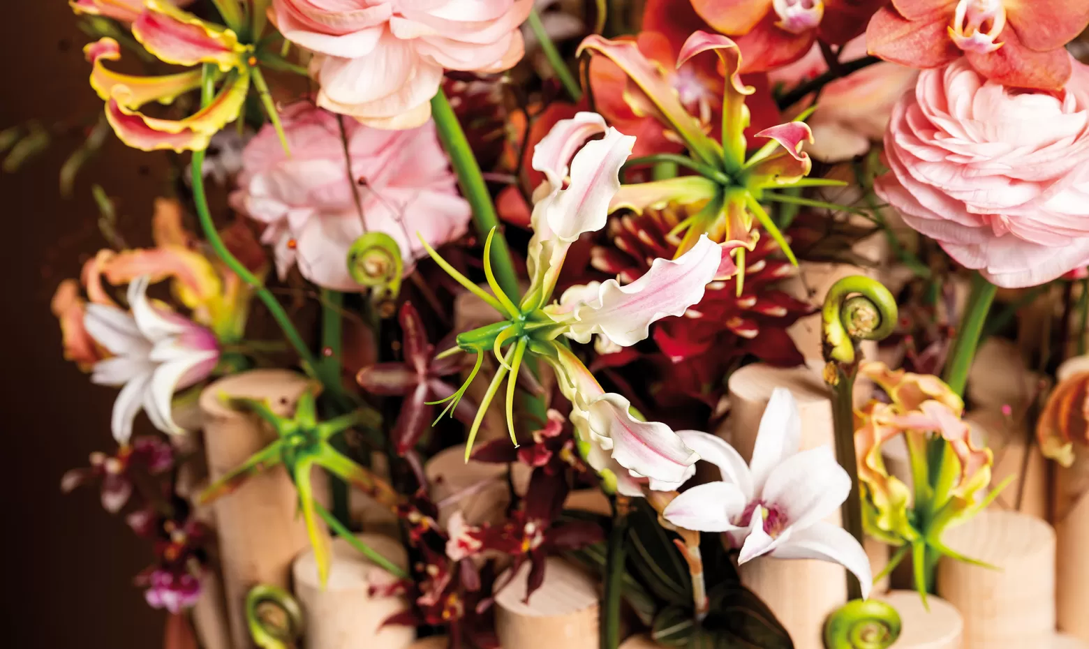 Clematis & Gloriosa Marginpar Hanneke Frankema