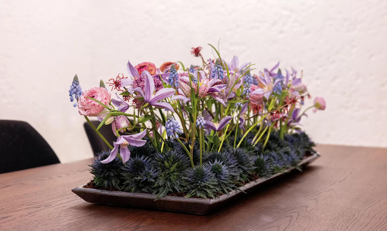 Thistle Eryngium Marginpar design Max van de Sluis