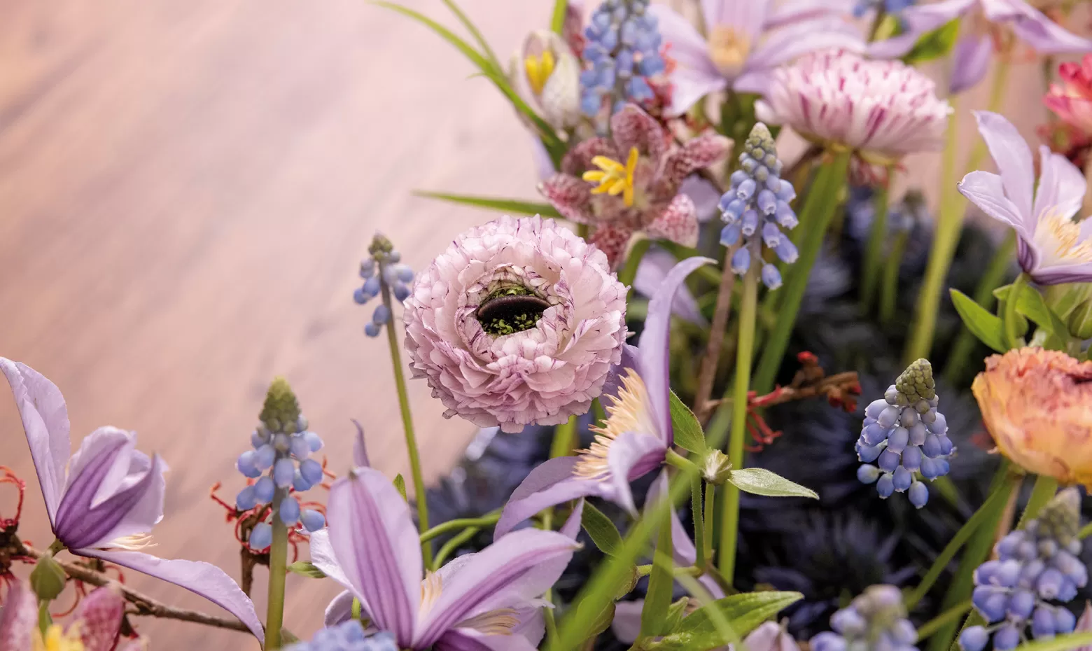 Thistle Eryngium Marginpar design Max van de Sluis
