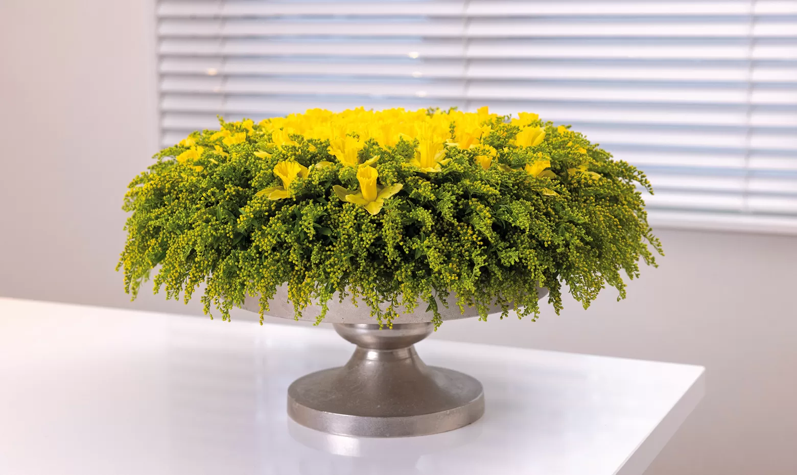 Solidago Marginpar Max van de Sluis