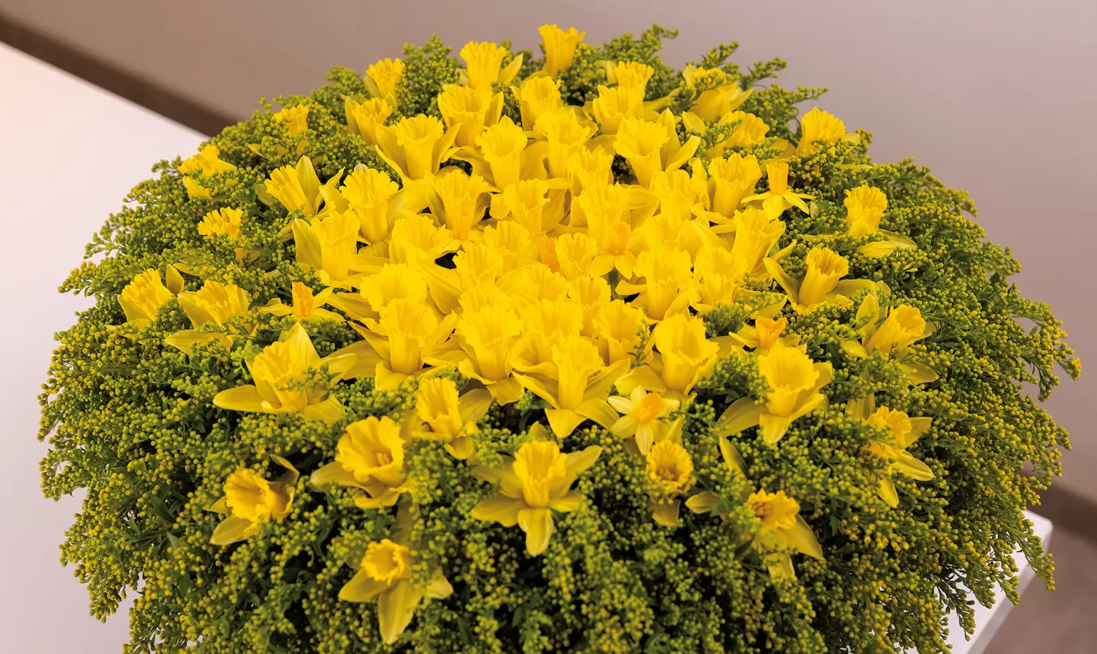 Solidago Marginpar Max van de Sluis