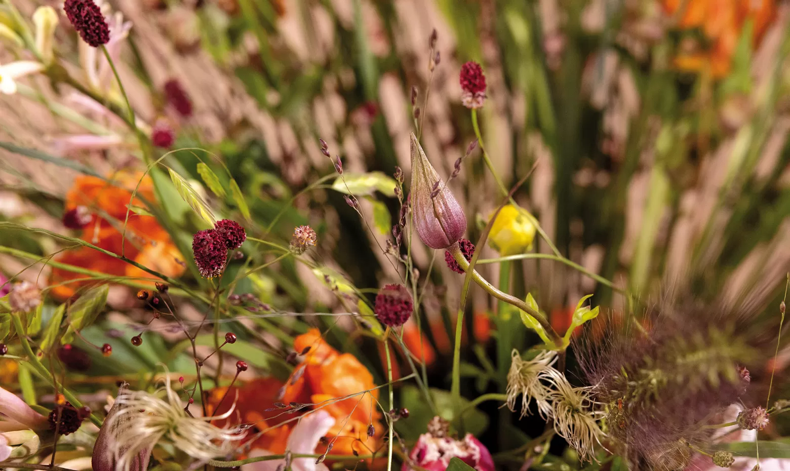 Sanguisorba design Marginpar Max van de Sluis