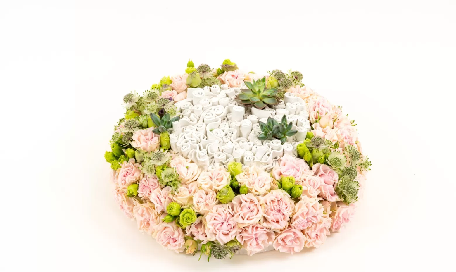 Claudia Tararache ontwerp Astrantia Billion Star XL