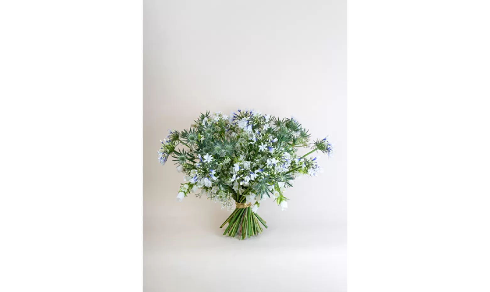 Marek Jakobi ontwerp Agapanthus Twister, Eryngium Sirius Questar®, Campanula Champion White, Limonium China White 