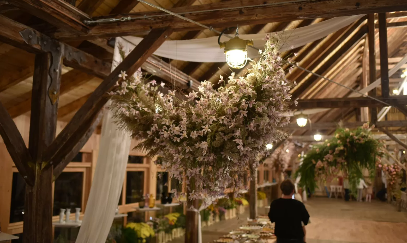 clematis flower cloud