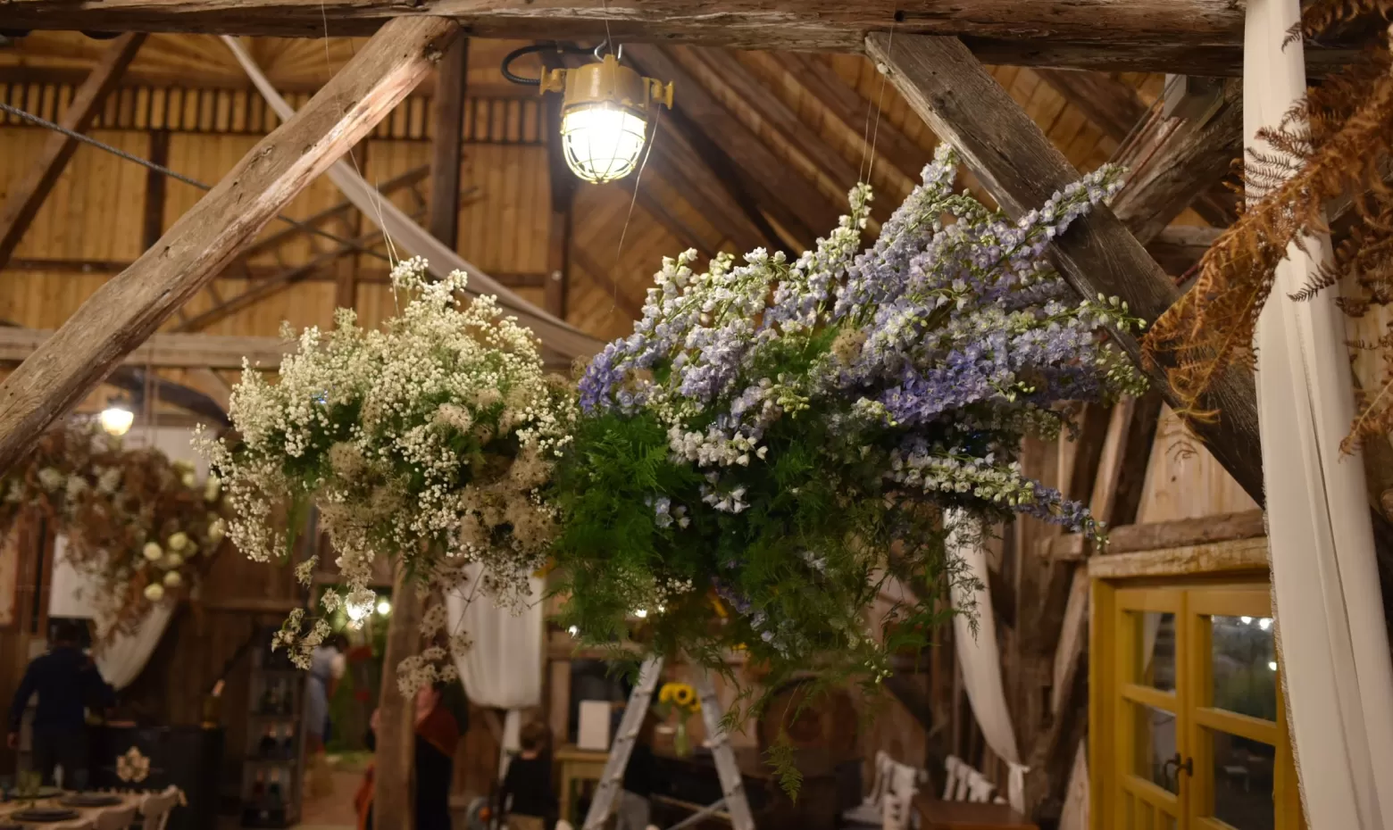 Flower cloud delphinium gypsophila 