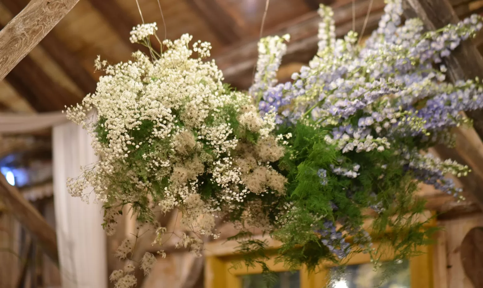 Flower cloud delphinium gypsophila 