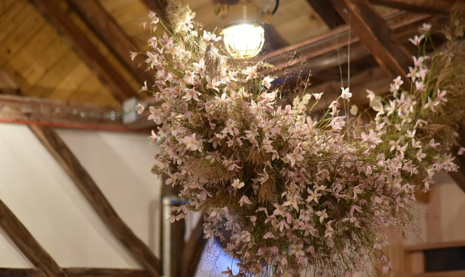 clematis flower cloud 