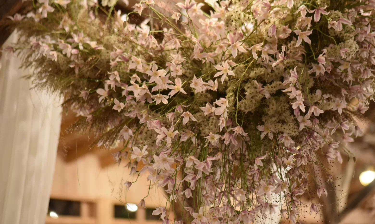 clematis flower cloud 