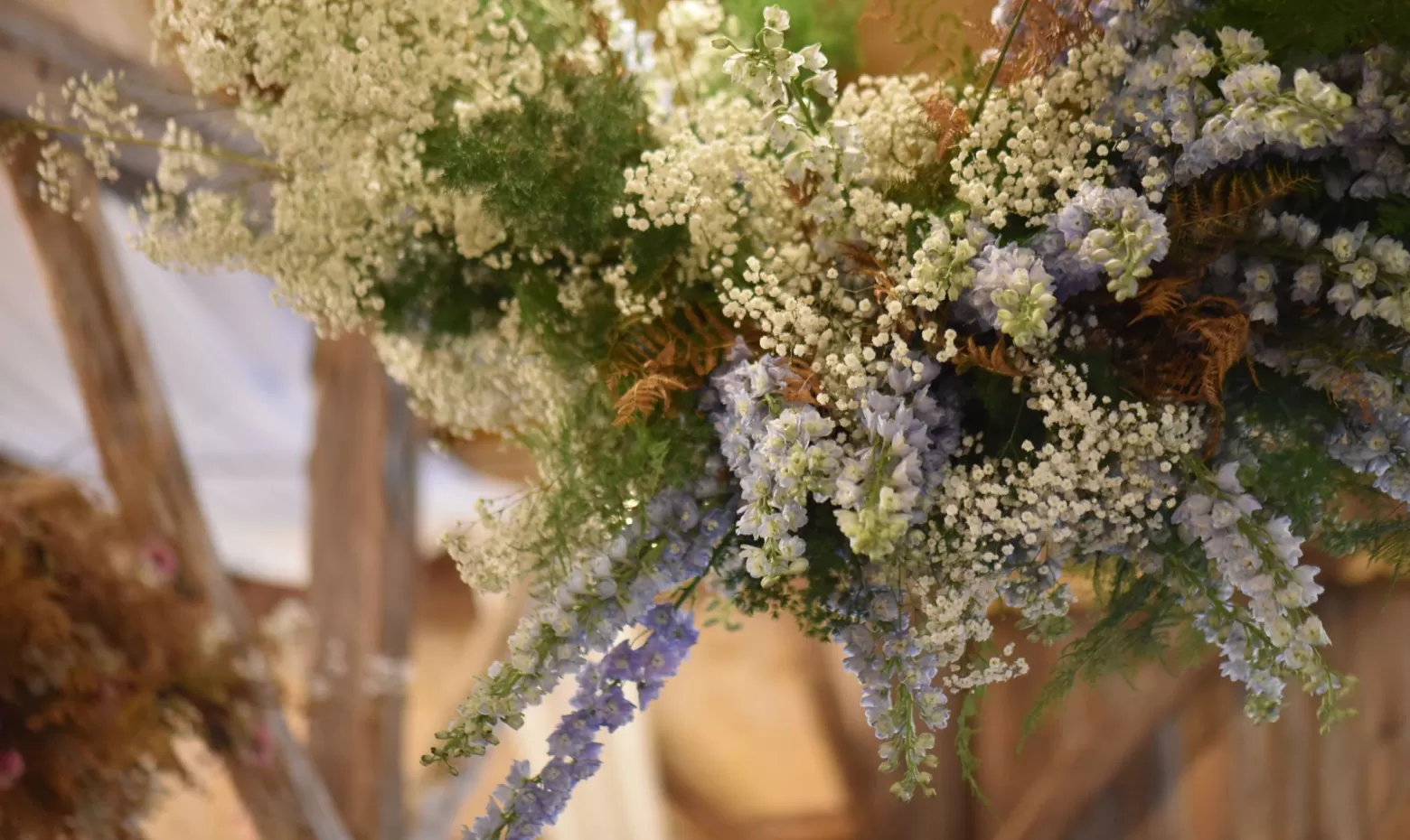 Flower cloud delphinium babies breath 
