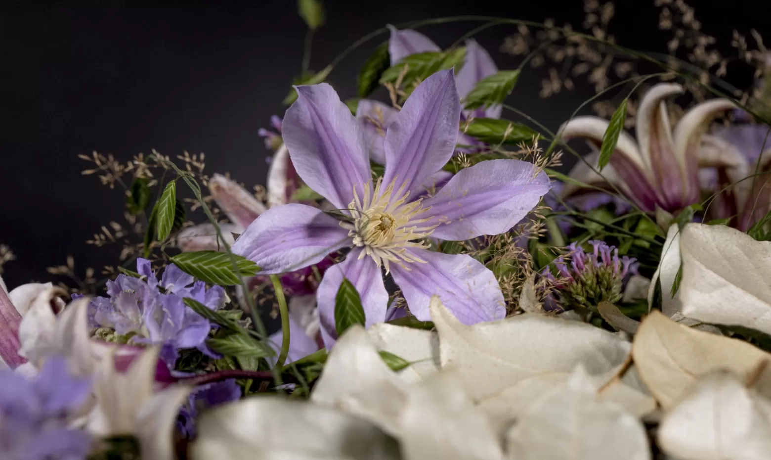 Funeral wreath with Scabiosa Lavender Scoop® and Clematis Amazing® Star River and Sevilla and Chasmanthium