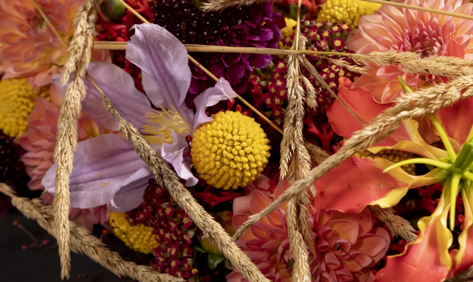 Rouwkrans met Craspedia, Gloriosa, Jatropha, Clematis, Achillea en Scabiosa