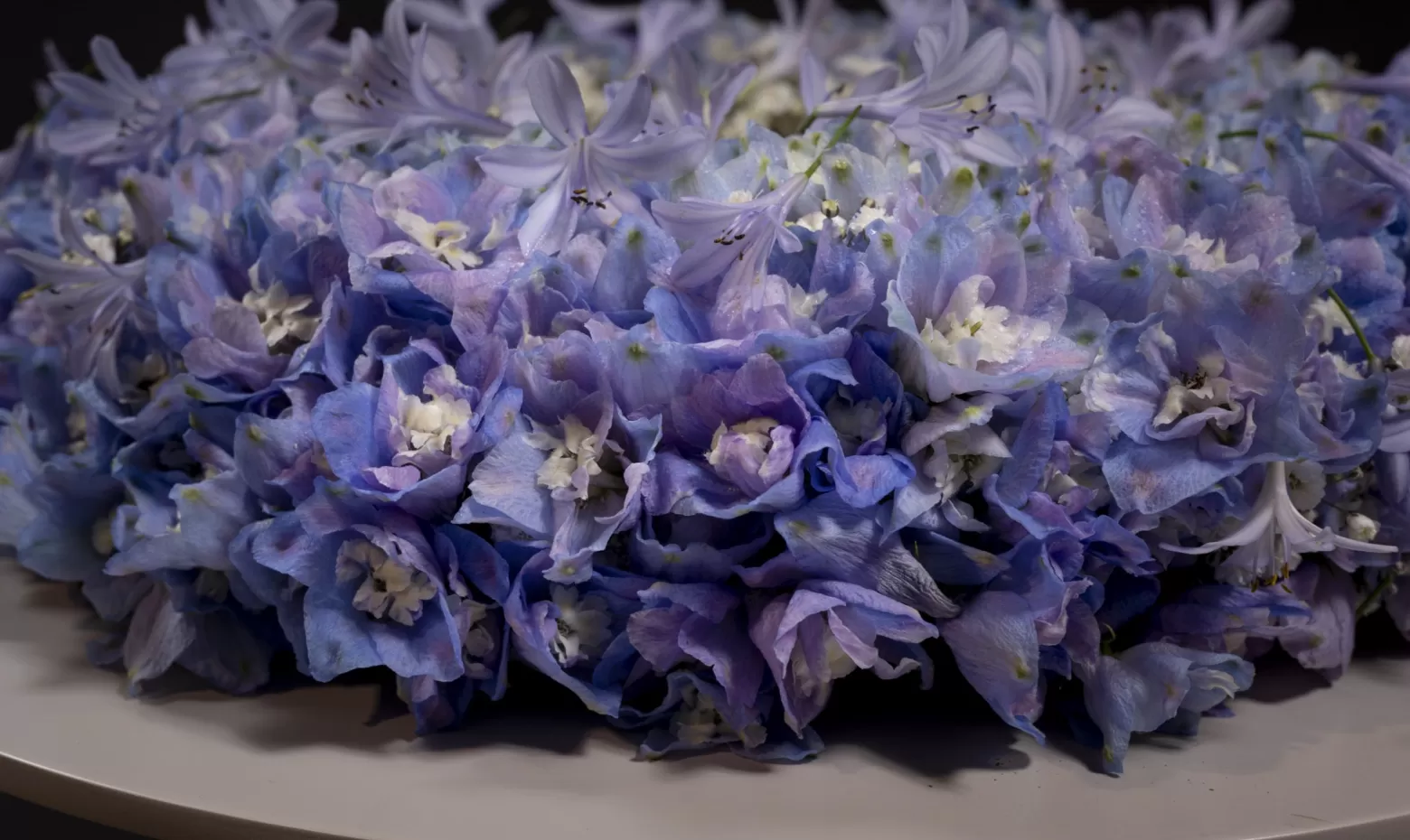 Funeral wreath with Delphinium, Agapanthus and Gypsophila