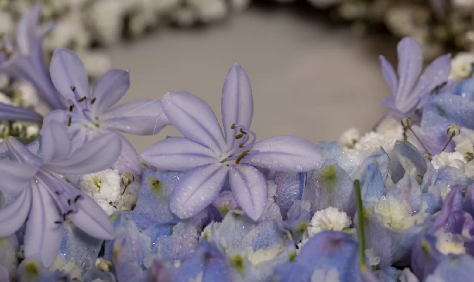 Funeral wreath with Delphinium, Agapanthus and Gypsophila