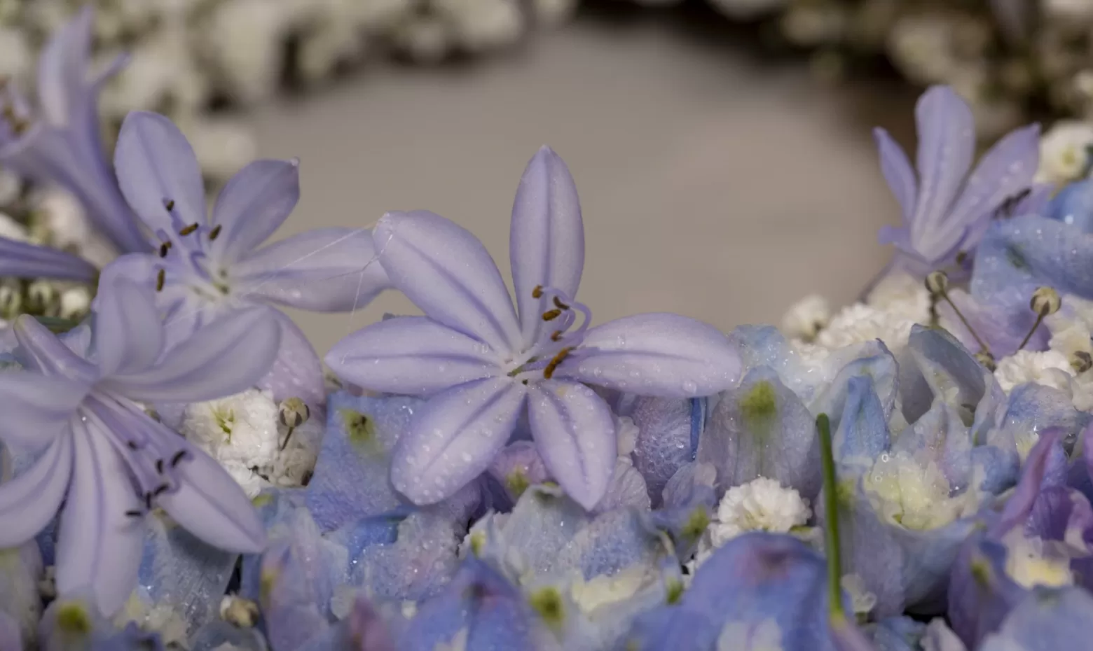 Trauerkranz mit Delphinium, Agapanthus und Gypsophila