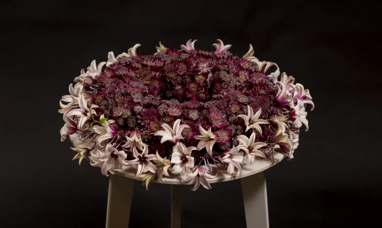 Funeral wreath with Astrantia (Star of Fire®, Star of Flame® and Roma®) and Clematis Amazing® Sevilla