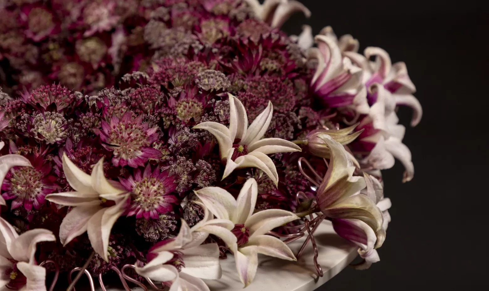 Trauerkranz mit Astrantia (Star of Fire®, Star of Flame® und Roma®) und Clematis Amazing® Sevilla.