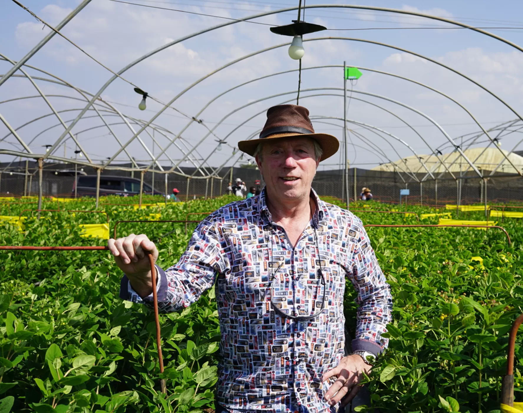 Hypericum breeder Bernard van den Bosch