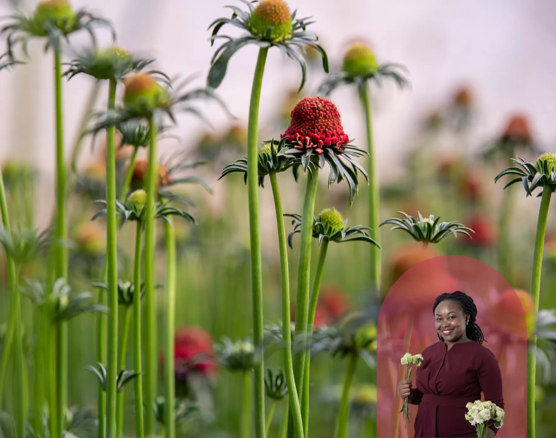Angeline Gitau, Leiterin der Nachernteabwicklung